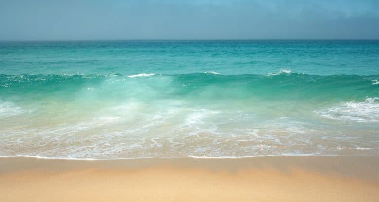 海洋垃圾,海廢再生聯盟