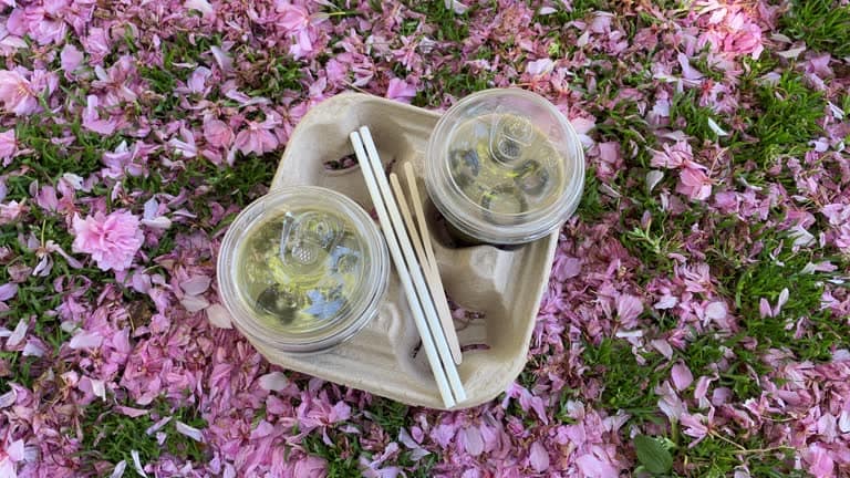 薄塑膠便當餐盒要先清理乾淨才能回收,塑膠蓋同樣需要分開處理,再生紙餐盒則需進入專屬紙容器回收系統,正確分類薄塑膠便當餐盒、掌握塑膠蓋回收方式,再生紙餐盒也能變資源,環保更有效!